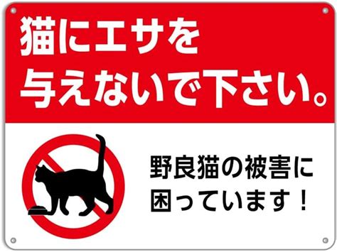 猫によるベランダ被害が今、深刻化しています。