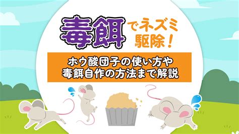 猫に潜む危険：毒餌による被害の防止と対処法