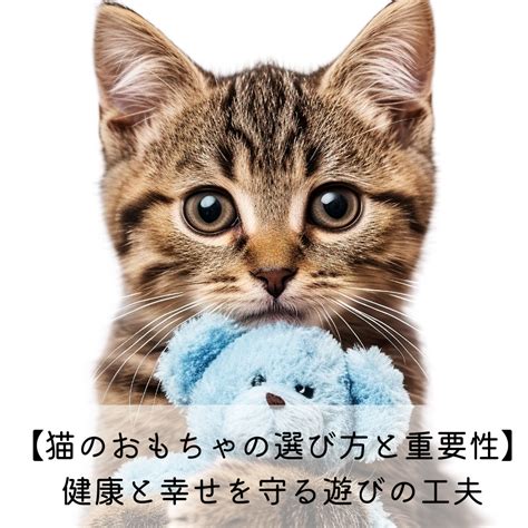 猫のおもちゃの選び方と遊び方