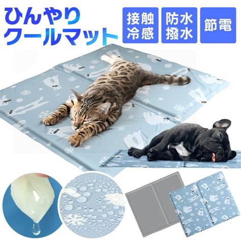 猫のためのクールジェルマット：快適な夏の必需品