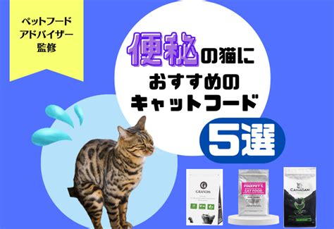 猫のためのフードをお試しで体験してみよう！