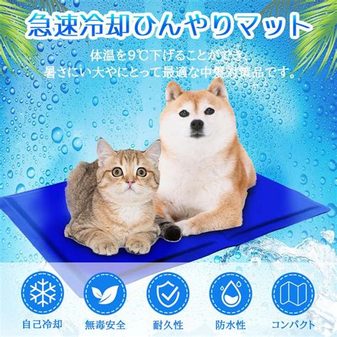 猫のひんやりシートとは？