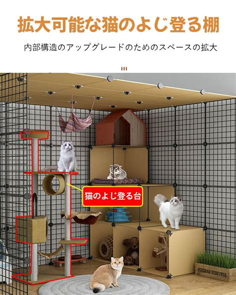 猫のゲージを安く手に入れるための賢い節約術