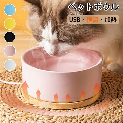 猫のフードボウル選びの決定版：究極のガイド