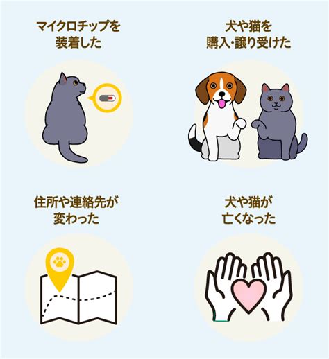 猫のマイクロチップ：あなたの愛する仲間を守る必須アイテム