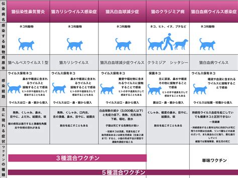 猫のワクチンのすべて：大切な愛猫を守るために