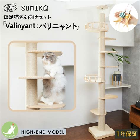 猫の健康と幸福のためのキャットタワーの究極ガイド