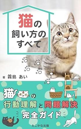 猫の健康と幸福を管理するために不可欠