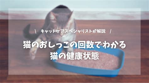 猫の健康状態の評価