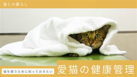 猫の健康管理