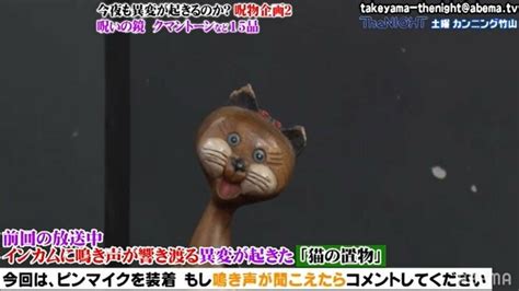 猫の呼び声に隠された秘密