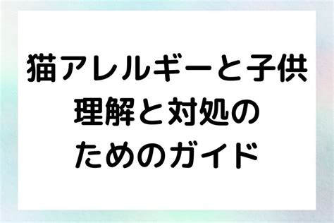 猫の安全で快適な食器選びガイド