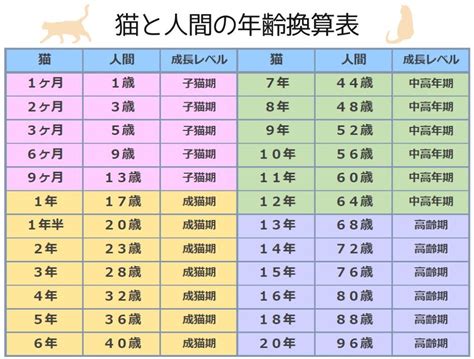 猫の年齢：