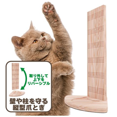 猫の爪とぎ: 健康と幸福のために不可欠な行為