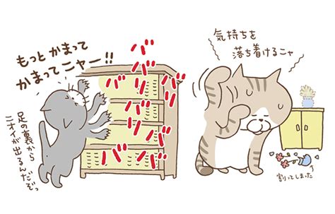 猫の習性と爪とぎの重要性