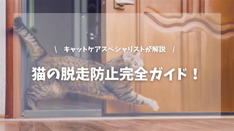 猫の脱走を防ぐための完全ガイド：あなたの大切なペットを守る