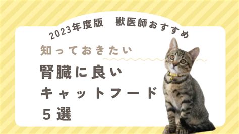 猫の腎臓病に対するニュートロの食事療法：包括的なガイド