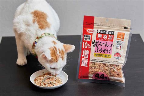 猫の食事: 栄養価の高い美味しい食事で健康的な愛猫を育てるためのガイド