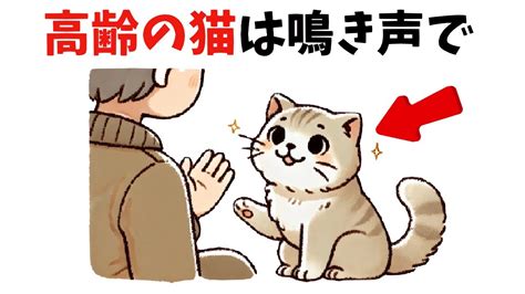 猫の鳴き声の謎