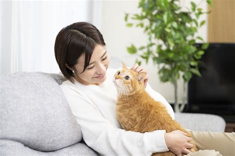 猫を喜ばせる方法：愛猫との絆を深めよう