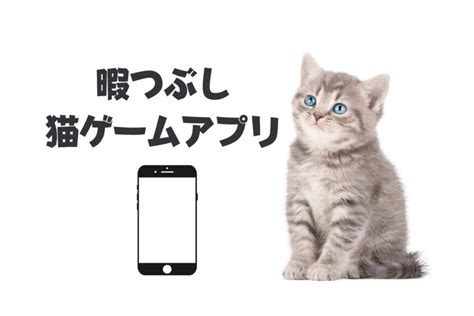 猫アプリは安全ですか？