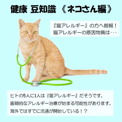 猫アレルギーの原因