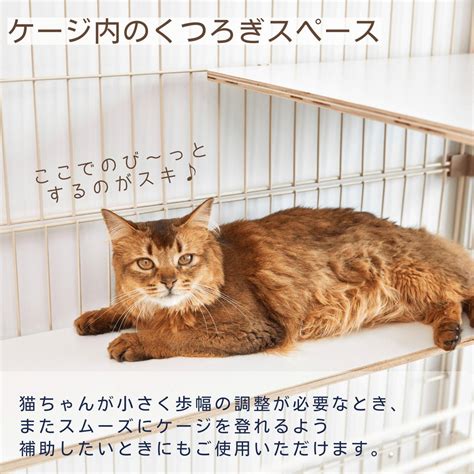 猫ケージ ステップ ガイド: あなたの猫に最適なステップを選ぶ