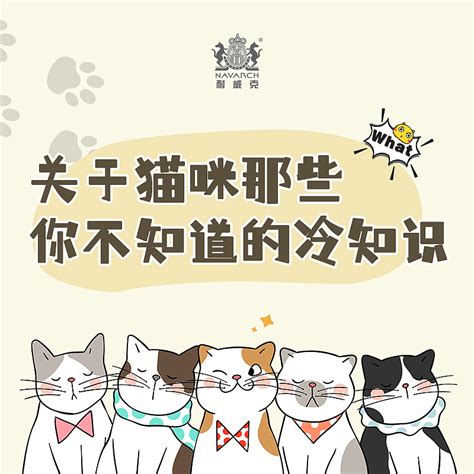 猫咪: 你不知道的可爱真相