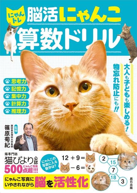 猫好き必見！にゃんこクリーナーで快適な暮らし