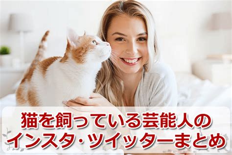 猫好き必見！究極の膝掛けで、愛猫と過ごす至福のひとときを