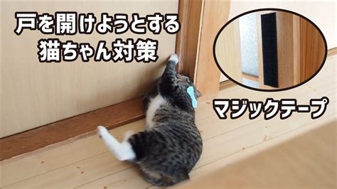 猫対策に欠かせない！引き戸ストッパーの徹底解説