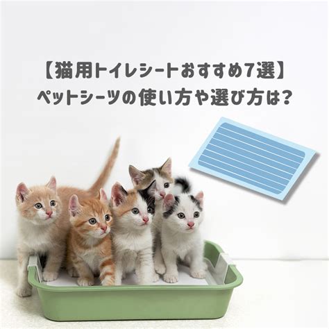 猫用トイレシートの選び方