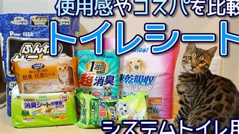 猫用トイレシート比較ガイド：愛猫に最適な製品を見つける