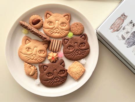 猫顔クッキー型でキュートなお菓子作りをマスターしよう