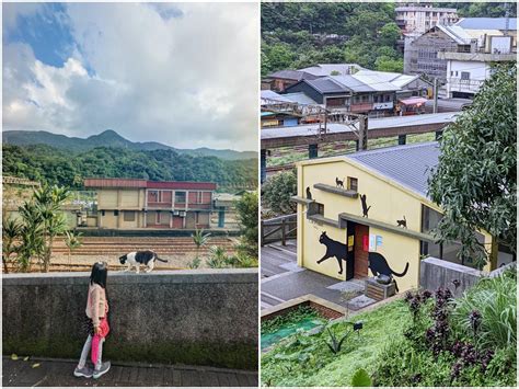 猴硐貓村：貓咪樂園，療癒人心