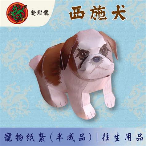 獅子狗——犬界中的微型奇蹟