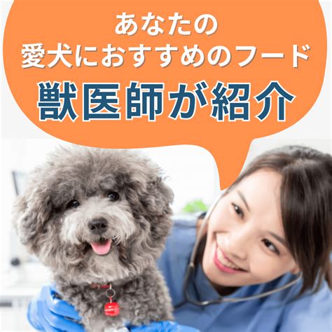 獣医師おすすめドッグフードで愛犬の健康と長寿をサポートしよう！