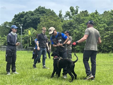 獵犬10001招：打造無敵搜救犬