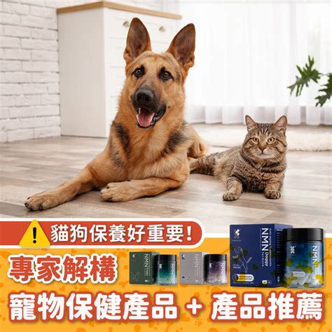 獸醫 best：解構優質寵物保健品的關鍵