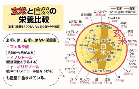 玄米の栄養成分