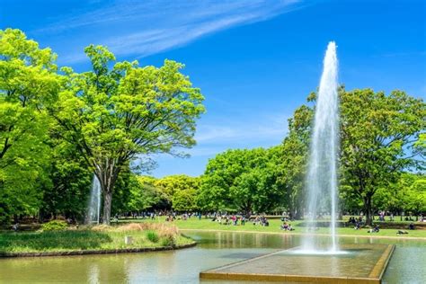 玉淀湖：東京の緑豊かなオアシス