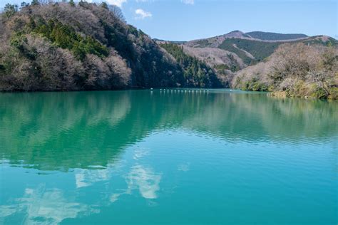 玉淀湖 | 東京都の隠れた魅力を探る