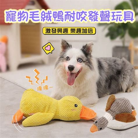 玩具狗：寵物的完美替代品