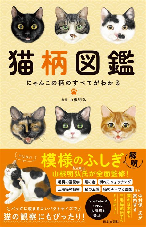 珍しい柄の猫：遺伝と健康上の影響