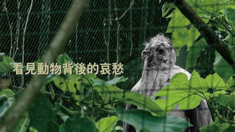 現代動物園的使命