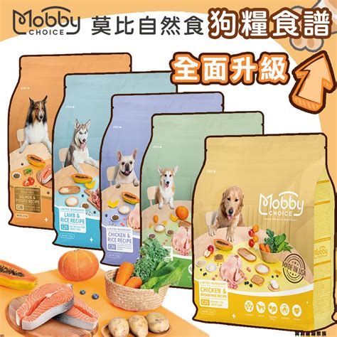 現在狗飼料：全面指南