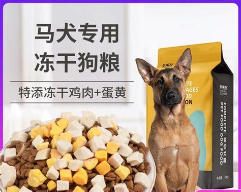 現在狗飼料：打造健康快樂毛孩的終極指南