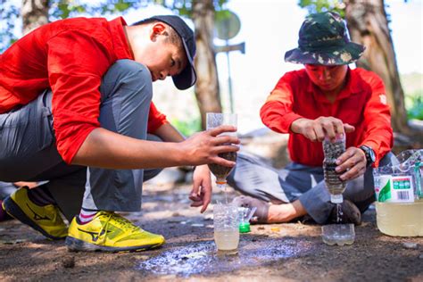 生存必备要素：全面掌握生活中的關鍵要素