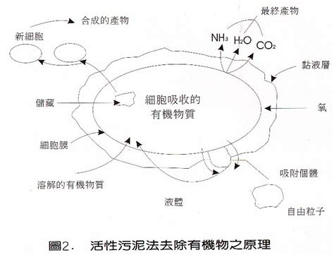 生物處理法：