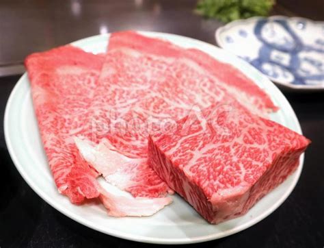 生肉フリー素材で食卓を華やかに彩ろう！